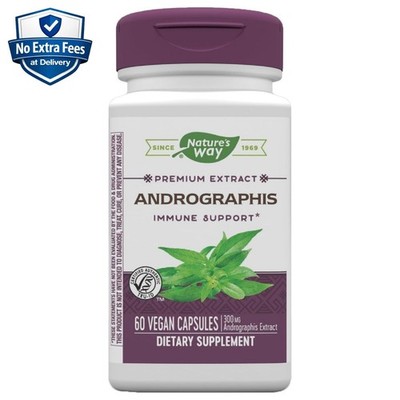 Andrographis Extract 10% Andrographolides 60 Capsules - 2 Month Supply