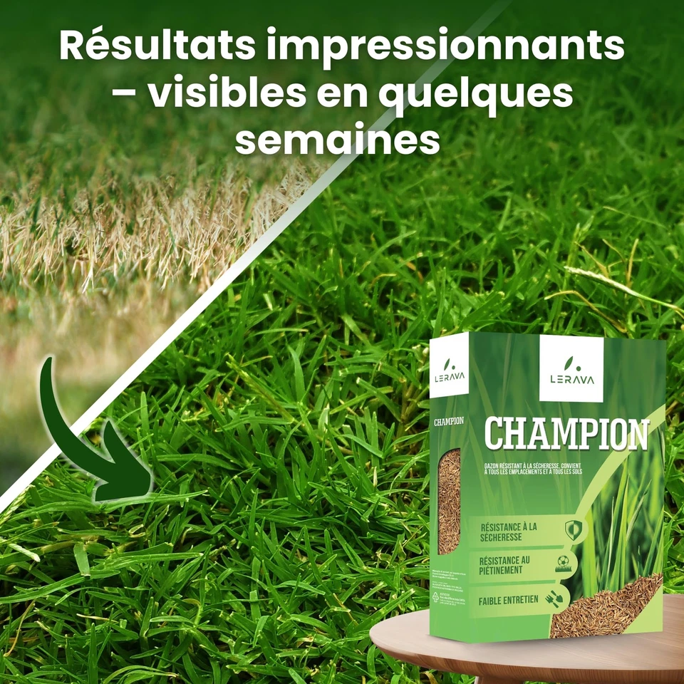 CHAMPION Gazon a Semer - Graine pelouse résistant à la Sécheresse - semences ... - Photo 3/4