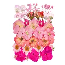 37 PCS Pink Dried Pressed Flowers 15 Types Real Natural for Resin Crafts