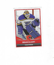 2016-17 PANINI NHL STICKER MADE IN ITALY BRIAN ELLIOTT #262 CALGARY FLAMES