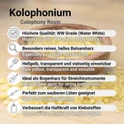 Bild 2 von 55