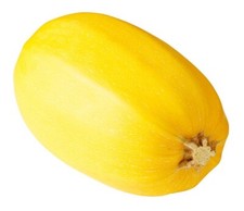 Spaghetti Squash, 25 Seeds. Heirloom Non-Gmo Organic. USA Free Shipping.