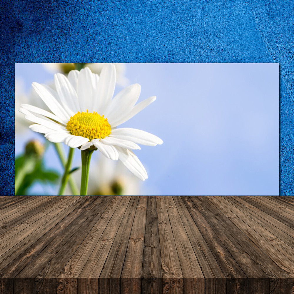Panneau mural marguerite en verre 120x60 - Décoration florale pour cuisine
