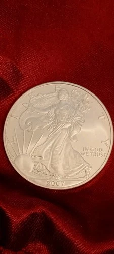 2007 uncirculated 1 oz Silver Eagle Dollar (READ)