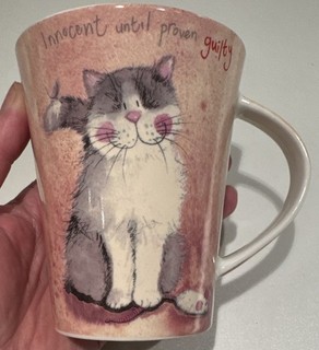 Queens Kitchen Innocent Mug by Alex Clark Fine Bone China