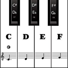 Piano Keyboard Stickers for Beginners, Reusable  88 Key, Sticker-Black
