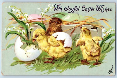 Easter Postcard Hatched Egg Little Chicks Embossed Flowers Brooklyn NY 1908 Tuck
