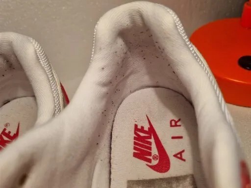 Foto 15 di 21
