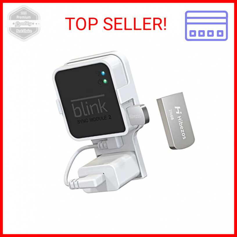256GB USB Flash Drive and Outlet Mount for Blink Sync Module 2, Save Space and E-image