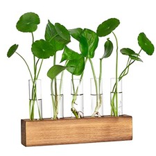 Propagation Stations, Plant Terrarium with Wooden 8.7"L x1.6"W x2"H Brown