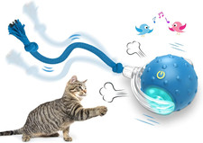 Interactive Cat Toys Ball for Indoor Cats Fast Rolling on Carpet, Chirping  Mot