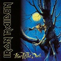Iron Maiden: Fear Of The Dark (Remastered 2015) (180G) (Limited Edition) - Warn