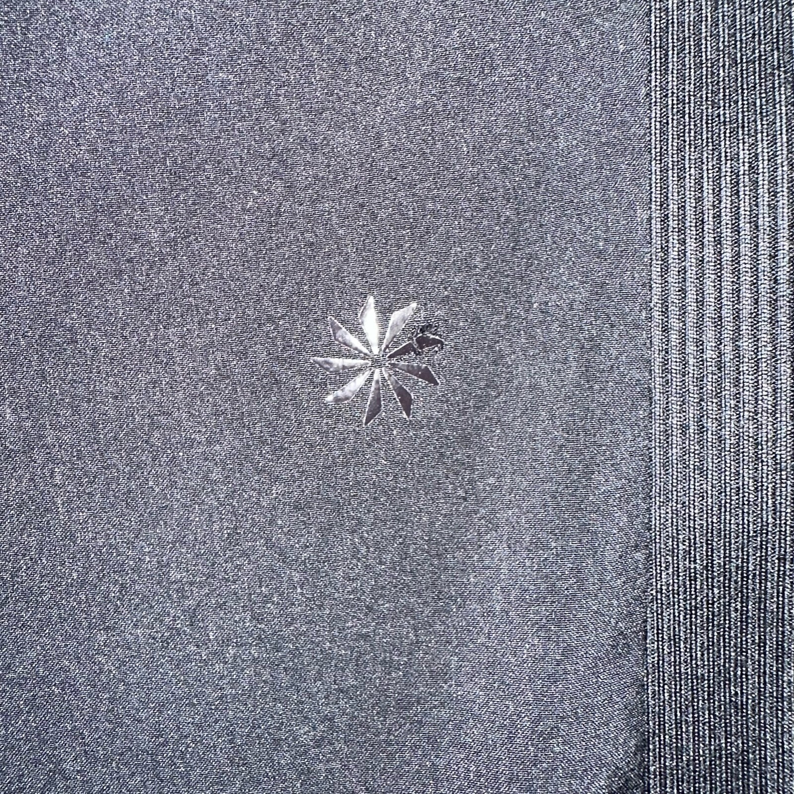Picture 6 of 13