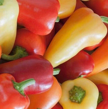 SANTA FE HOT PEPPER SEEDS 50 "GRANDE" vegetable GARDEN hot PEPPER FREE SHIPPING