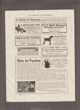 Revista Shetland Pony 1913 AD~PORTSMOUTH NH~Airedales/ELMHURST~Kansas City, MO