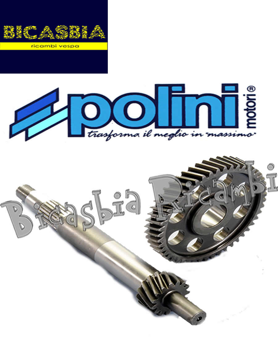 8138 Polini Primary Gears Z 15/49 Piaggio X9 250 Evolution
