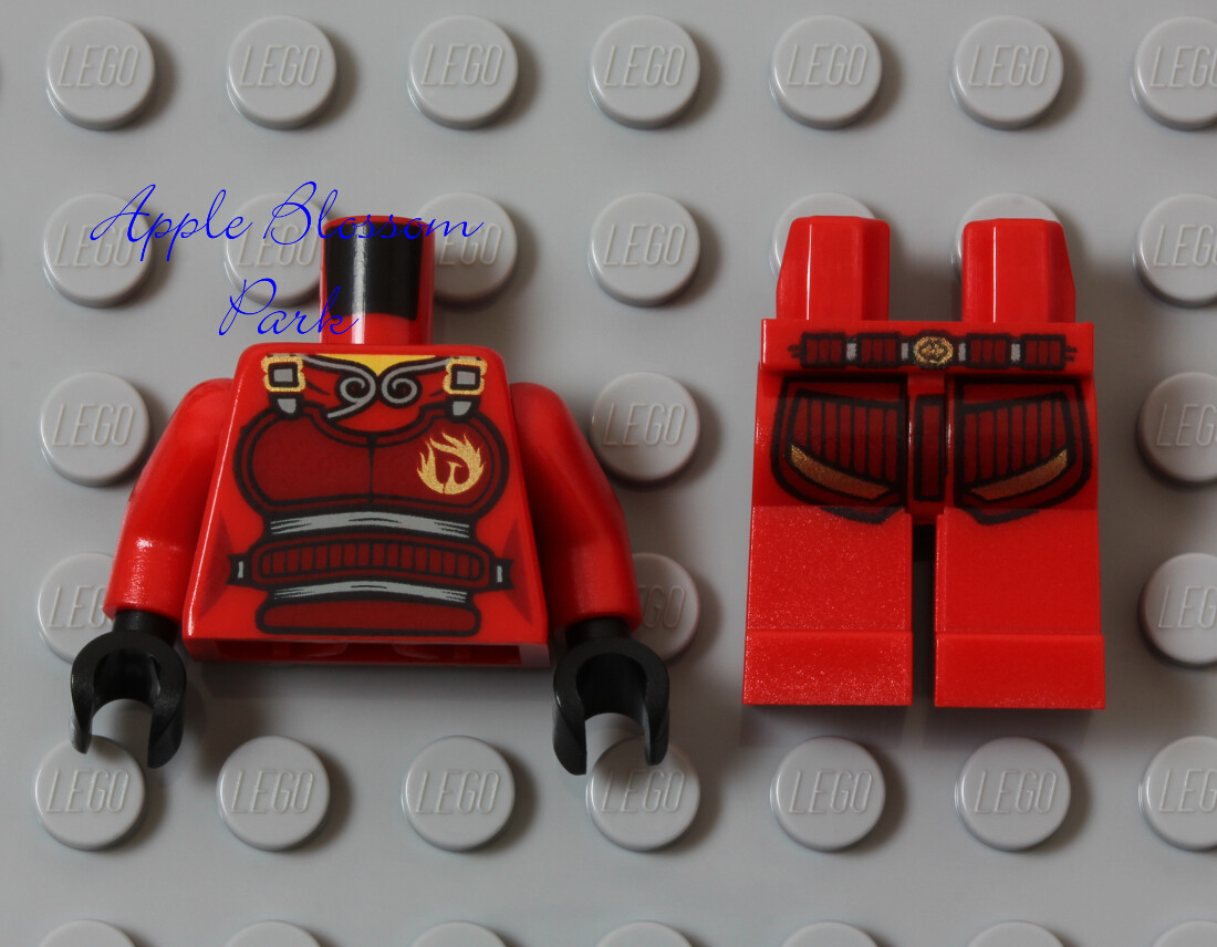 nyao nao様 Nya with Hair - Day of the Departed | LEGO® Ninjago