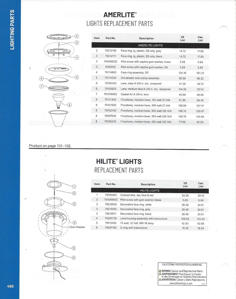 Guarnizione Per Luce Piscina Pentair SAM AMERLITE - Foto 7