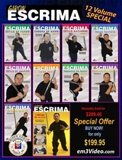 martial arts instructional dvd