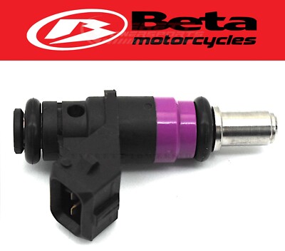 Throttle Body Fuel Injector 350-500 RR/Race/RR-S/RS/RX ~15-24 Beta (Notes) #E127