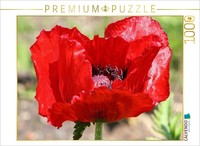 Calvendo Puzzle MohnblüTe Im Sonnenlicht | 1000 Teile Lege-GrößE 64 × 48 Cm Foto