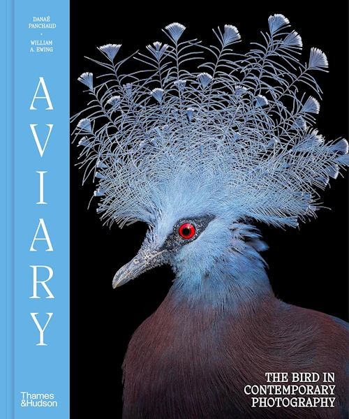 AVIARY THE BIRD IN CONTEMPORARY PHOTOGRAPHY  - EWING WILLIAM A. - THAMES E