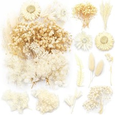 Nat&uuml;rliche Getrocknete Blumen Set f&uuml;r Kunst Basteln DIY