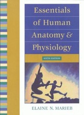 Essentials of Human Anatomy and Physiology,Elaine N. Marieb