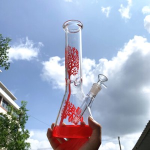 RORA Bang à Eau En Verre Haut Droit Fait Main 14.5mm - Pipe à Eau Simple Avec Filtre Et Adaptateur Downstem