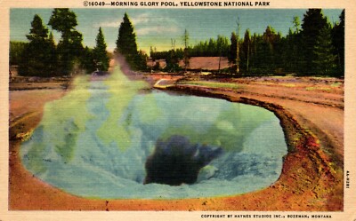 Postcard morning glory, pool Yellowstone national park Wyoming