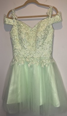 Green Whimsical Fairy Dress Lace Appliqué Bodice Tulle Glitter Skirt Size 8