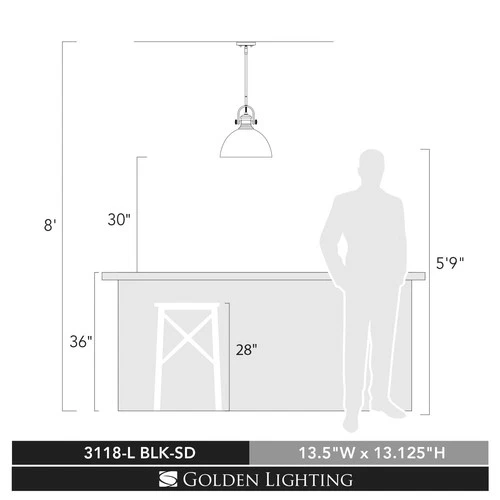 Golden Lighting Hines 13 1/2" Wide Black and Glass Dome Pendant Light - Picture 6 of 6