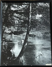 Antique Canada Creek Michigan Landscape 1948 Black&White Art Print