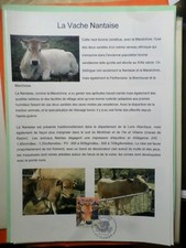 DOCUMENT A4 FDC 1° JOUR 2004 FRANCE VACHE NANTAISE ANIMAUX FERME timbre 3664