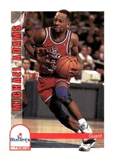 1992-93 Hoops #230 Michael Adams