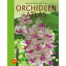 Orchideenatlas Manfred Wolff