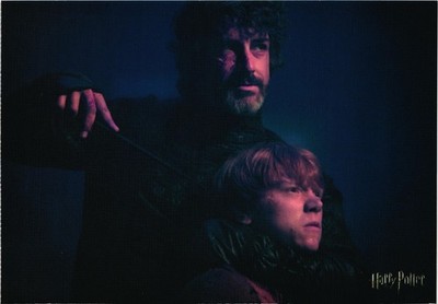 Harry Potter Rabastan Lestrange and Ron Weasley Postcard Unposted