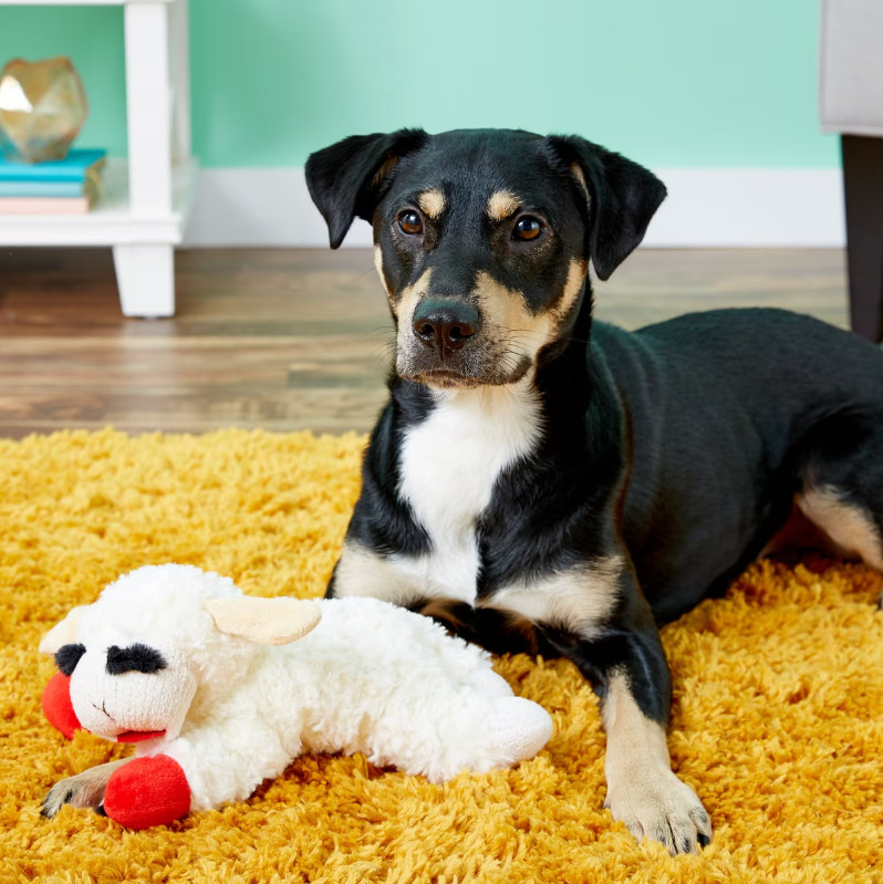 Lamb Chop Dog Plush Toy - Squeaky Dog Toy for Small 