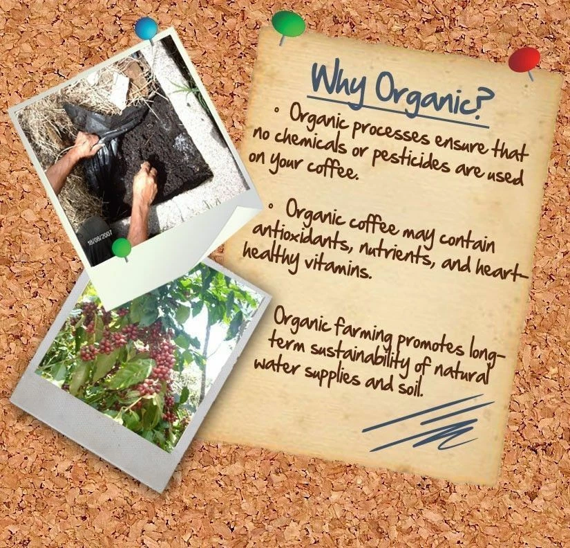 100% HAWAIIAN - KONA COFFEE BEANS MEDIUM ROASTED 2 / 10 POUNDS - Image 2 of 4