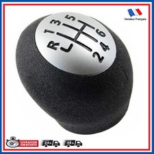 Clio III Laguna II Megane Master Trafic - Knauf Geschwindigkeit- 6 Gang-