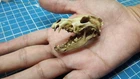 Wolf Skull 1/6 Scale Replica
