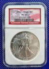 2003 * NGC * Silver Eagle S$1 * MS69 * #555711-005 * (Milk Spots)