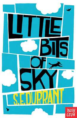 Little Bits of Sky, S. E. Durrant, New condition, Book