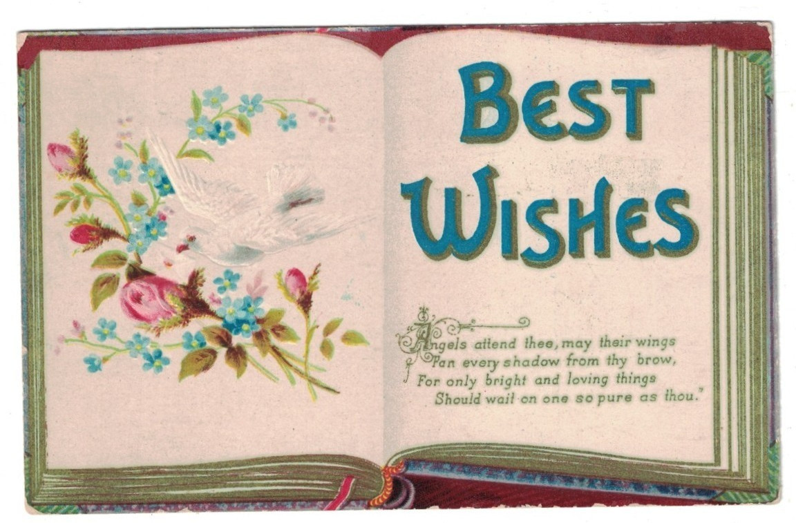 Antique 1910 Best Wishes Embossed Open Book White Dove Roses Greetings Postcard