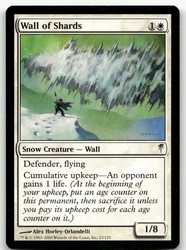 Wall of Shards 23/155 Coldsnap Uncommon