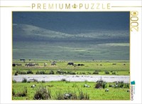 Calvendo Puzzle Rhinoceros | 2000 Pieces, Finished Size 35.4 × 26.4 In (90 × 67