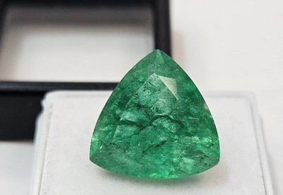 Colombian Green Emerald 10+ Ct Trillion Cut CERTIFIED Gemstone