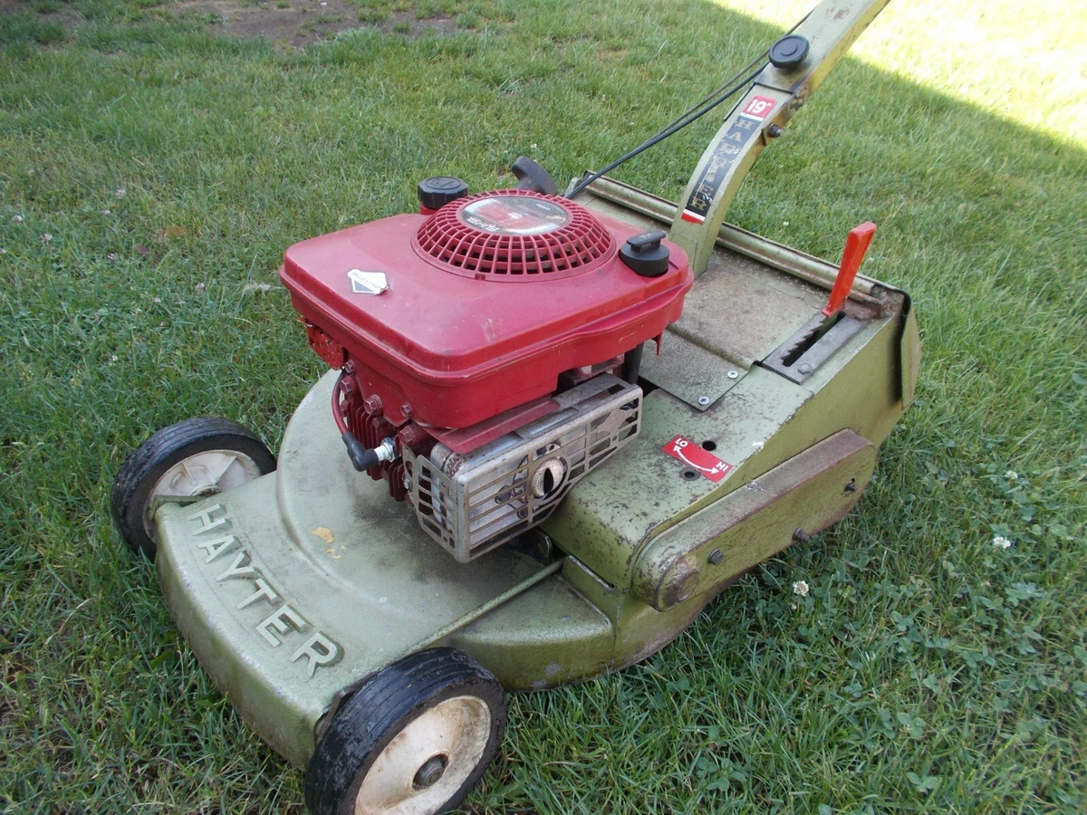 Hayter Harrier 19