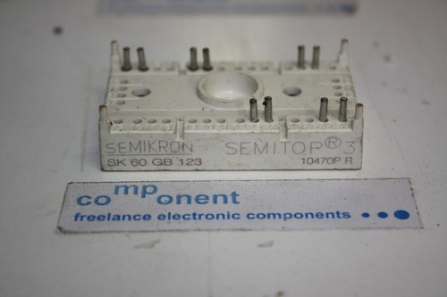 SK 60 GB 123 Semikron IGBT Power Module SEMITOP 3 -1Pcs(RC9) - Imagen 3 de 4