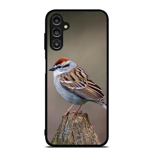Chipping Sparrow Wild Basin For iPhone SE4 16E 12 13 14 15 16 Pro Max Metal Case - 第 11/25 張圖片